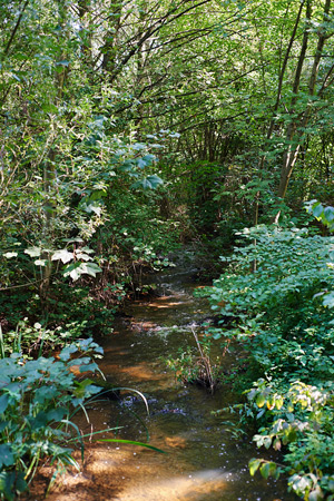 field studies &dash; b&auml;che